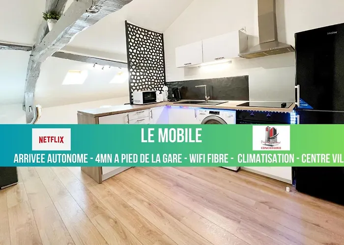 Le Mobile - Climatise - Proche De La Gare - Centre Ville-Property Rental Nm
