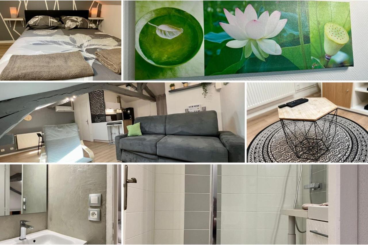 Apartment Le Mobile - Climatise - Proche De La Gare - Centre Ville-property Nm